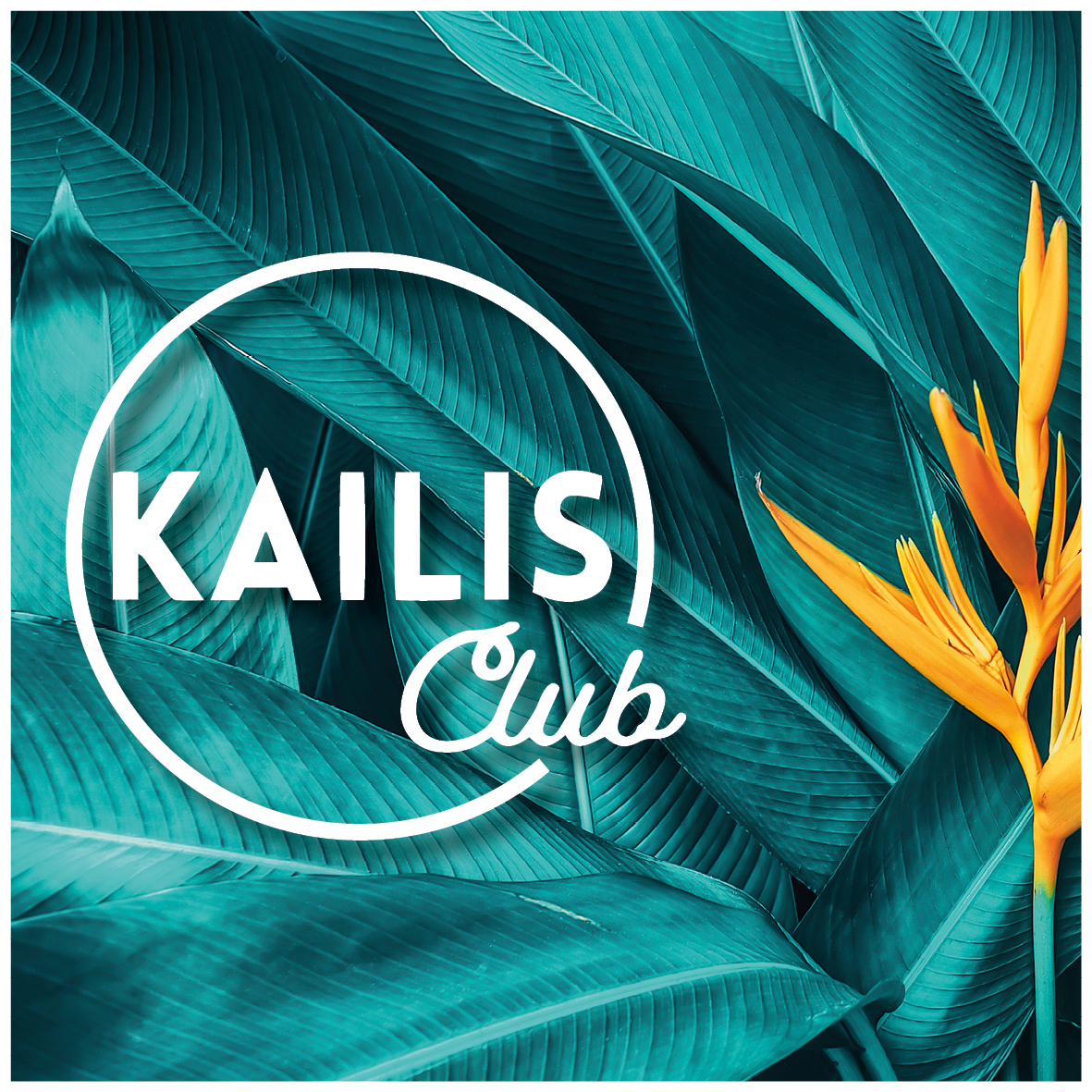 Kailis Club for MDWA