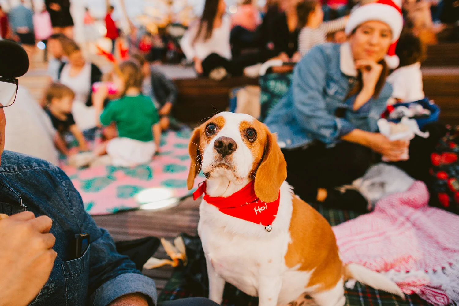 Carols at Scarb 2018 77.jpg