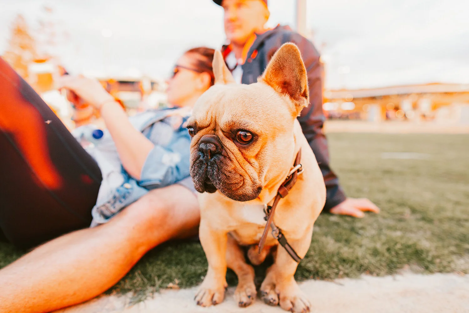 Carols at Scarb 2018 79.jpg