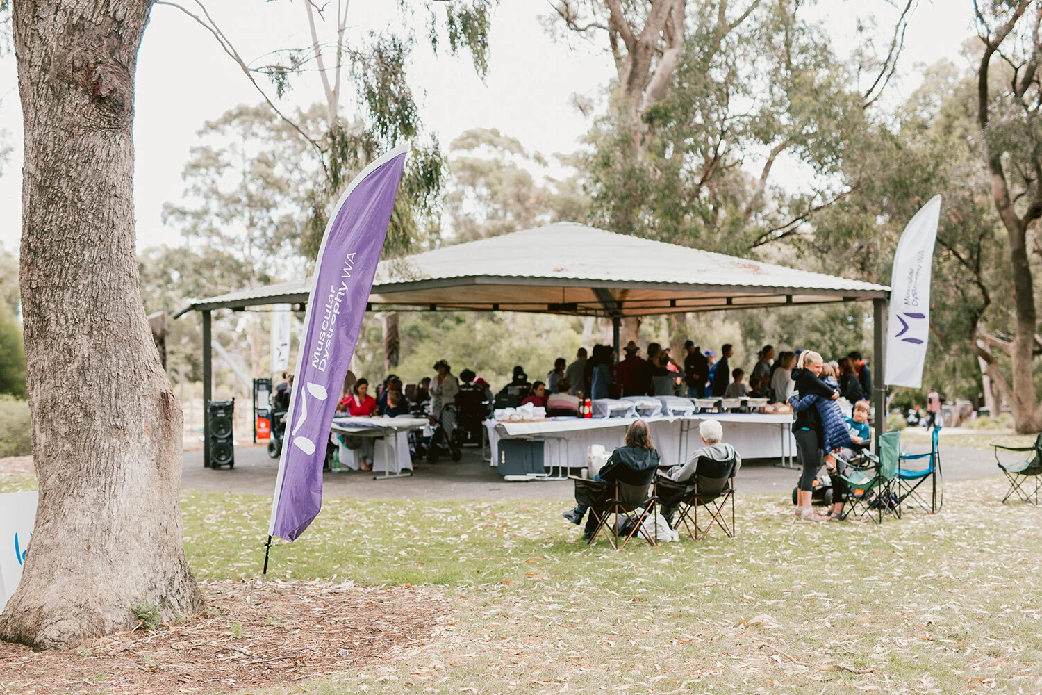 MDWA Community Day 50.jpg