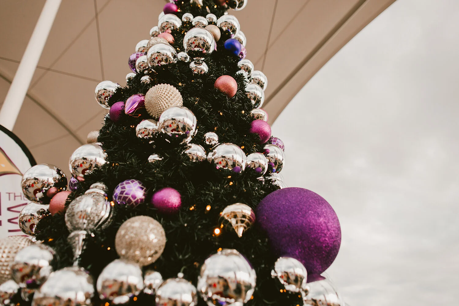 CAROLS AT SCARBOROUGH