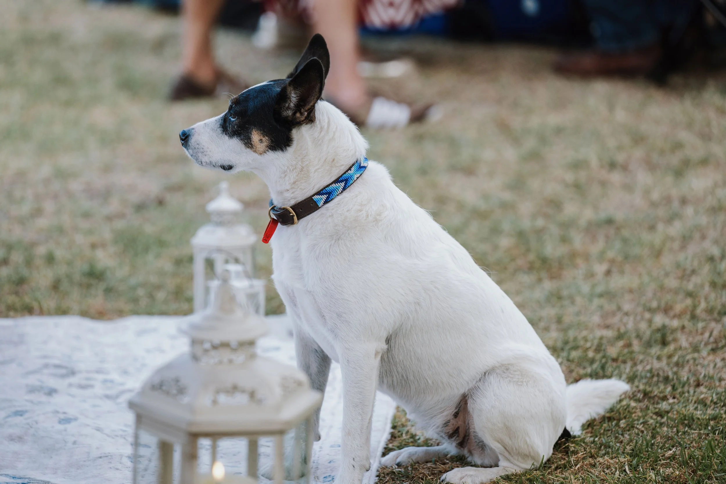 A Design Creativ_ Rhythm & Views 2026-78.jpg