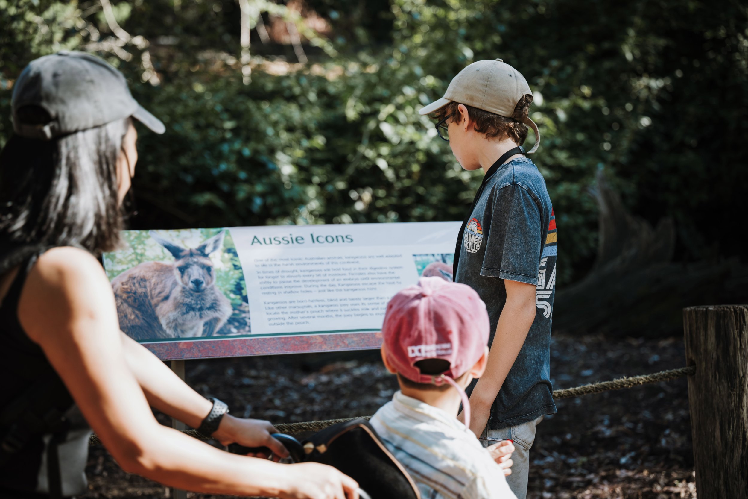 A Design Creativ_ Neuromuscular JNR Perth Zoo-6.jpg