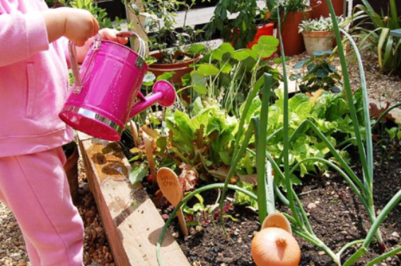 Gardening.png