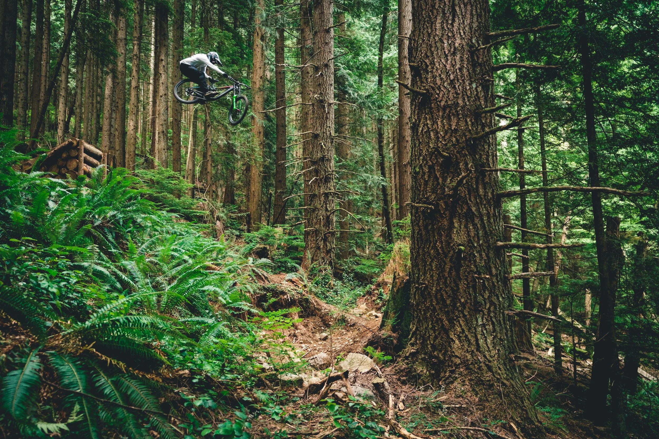 Reece T-Bog Cypress.jpg