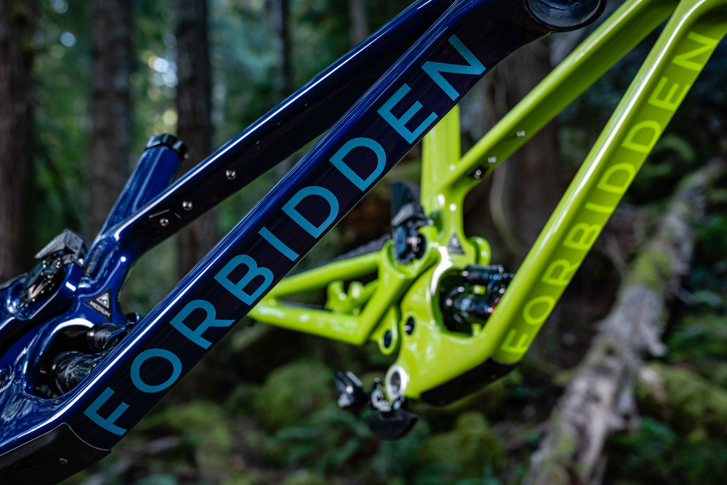 Forbidden Bicycle Company - Druid 2023 Colours - Dillon Butcher - Liam Wallace LOW RES-09306.jpg