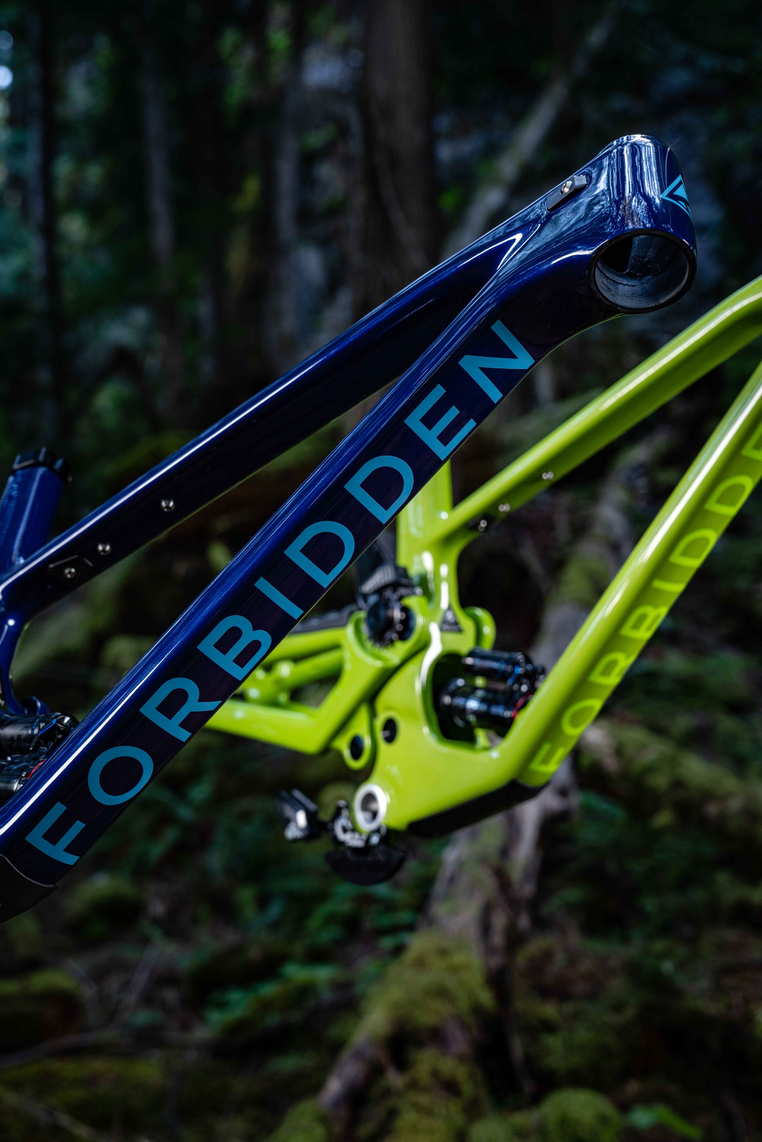 Forbidden Bicycle Company - Druid 2023 Colours - Dillon Butcher - Liam Wallace LOW RES-09308.jpg