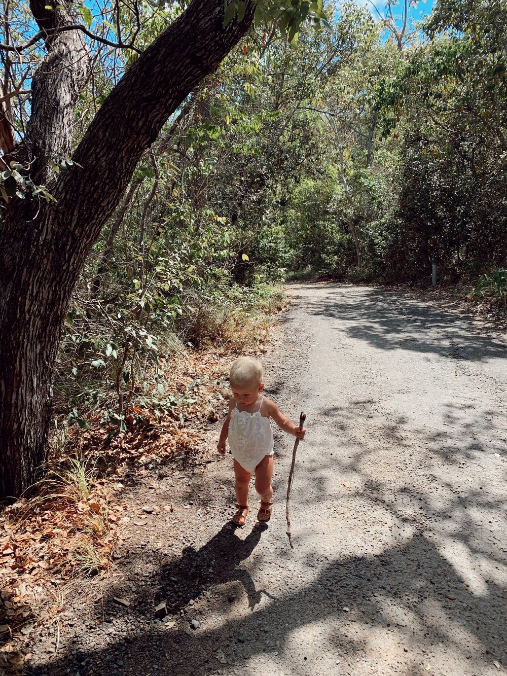 Walking to Arthur Bay