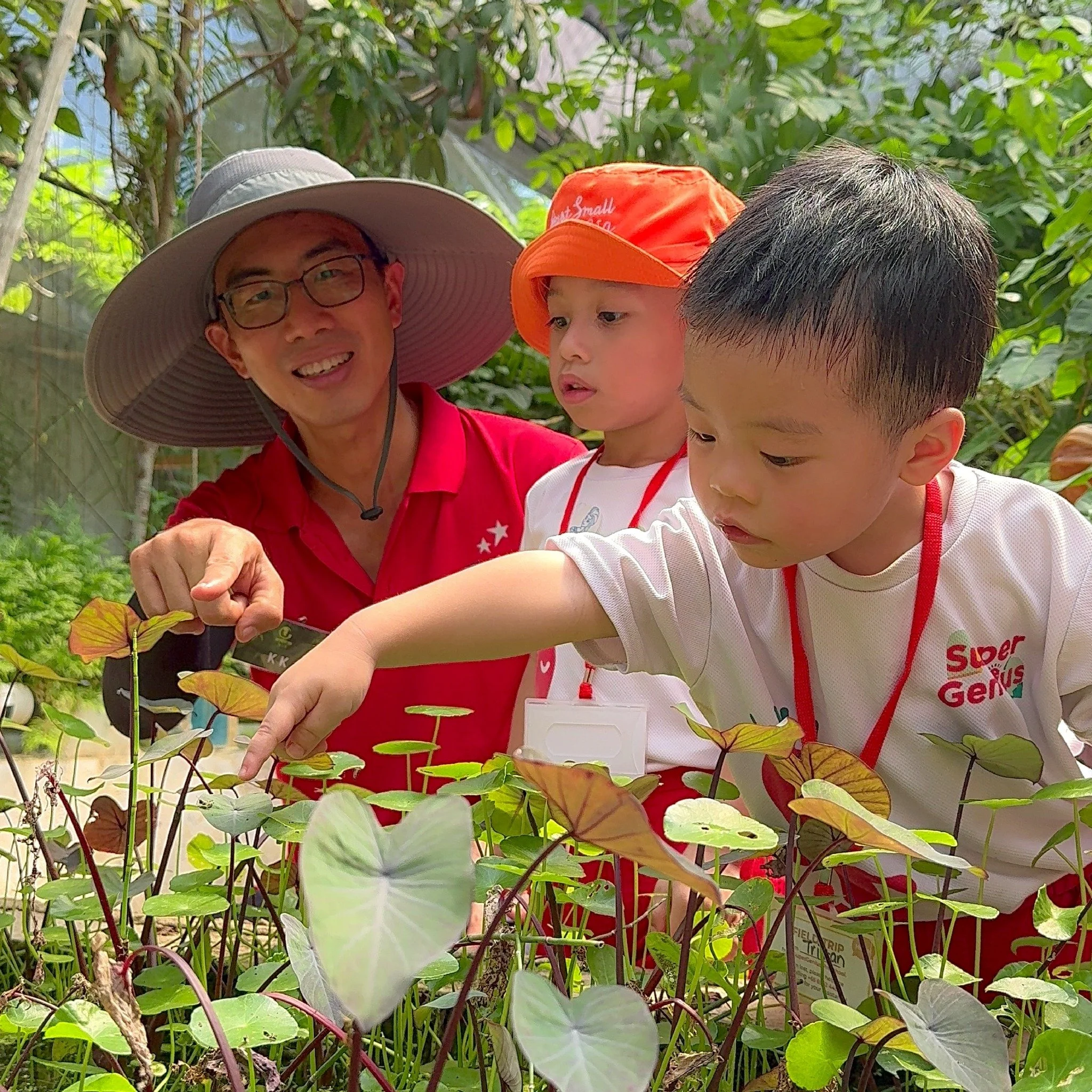 Vibrant flowers and earthy scents! Our adventurous SuperGenius explored the wonders of Kampung Kampus today, even making magical blue pea tea with Daddy and Mummy! 
#SensoryExploration #FieldTrip #PreschoolAdventures #ScienceFun #SuperGeniusSG #Sens