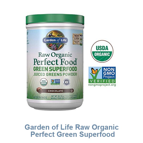 Garden of Life Raw Organic Perfect Green Superfood Juiced Powder