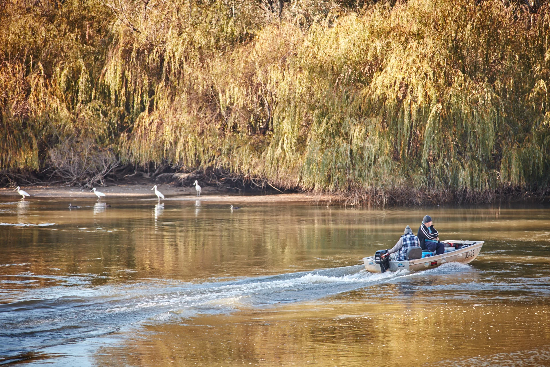 Swan Hill - Riverside Park _SWH9543.jpg