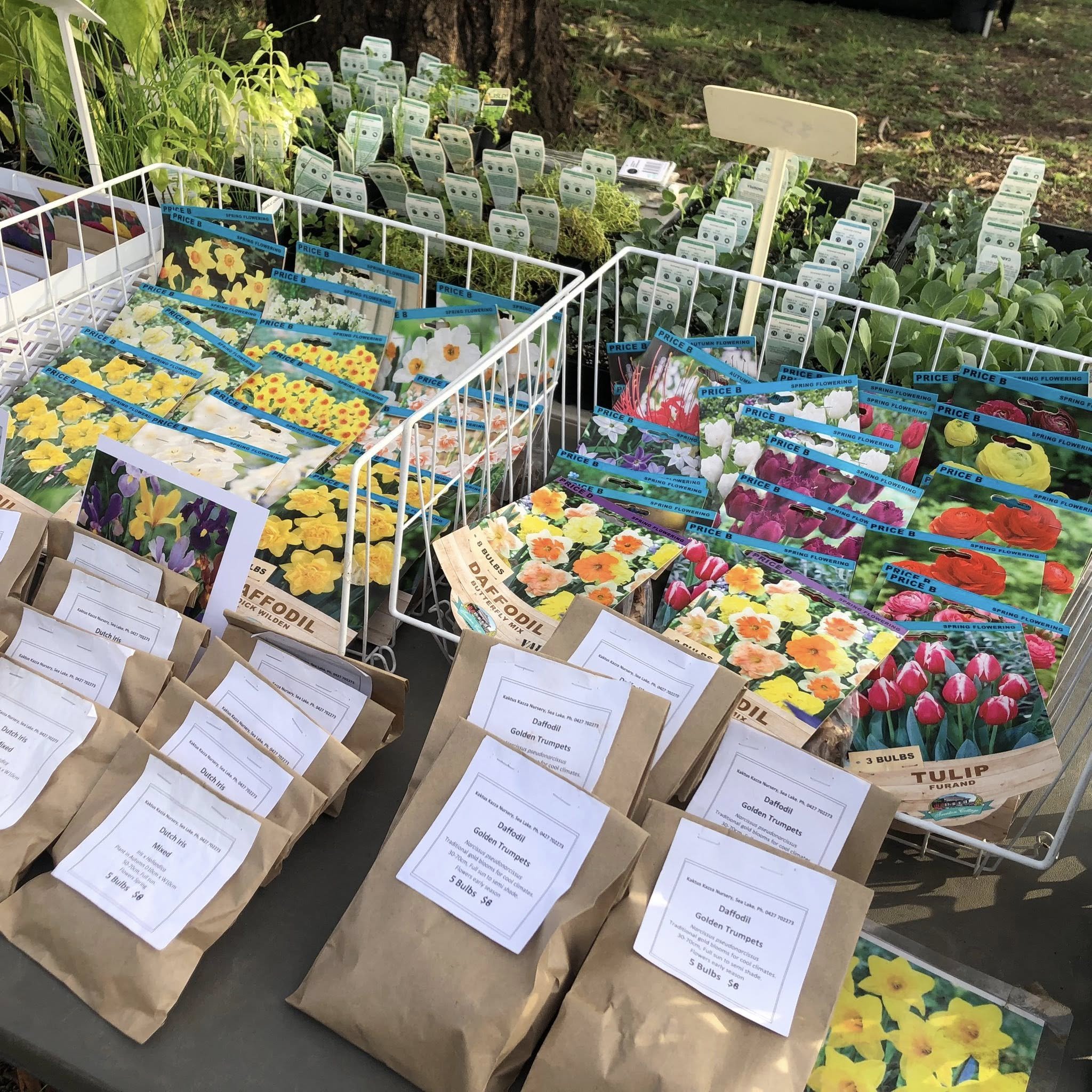 Nyah District Lions Club Market 