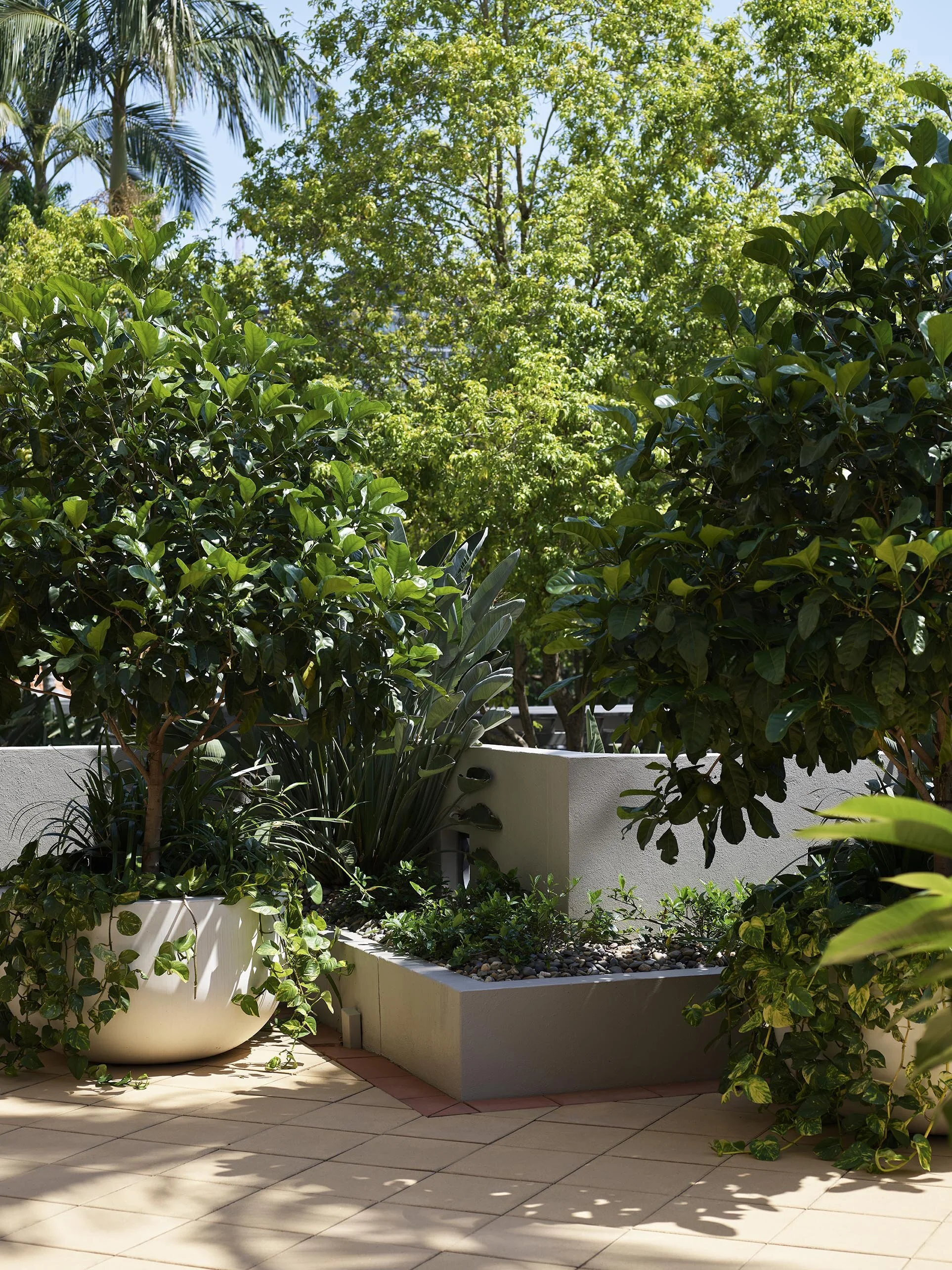 CS Newstead Tce24675St©TobyScott.jpg