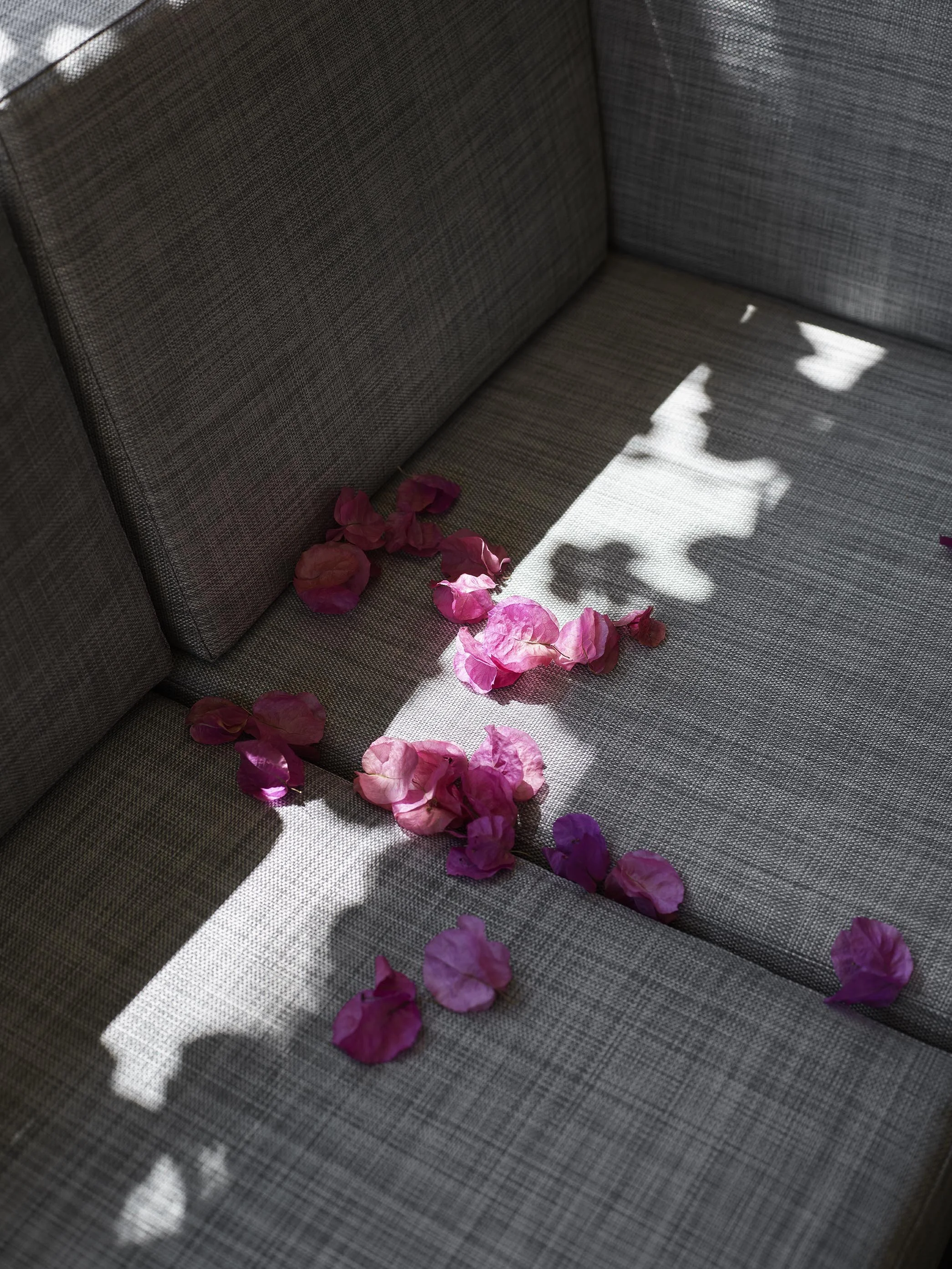 CS Newstead Tce24679St©TobyScott.jpg