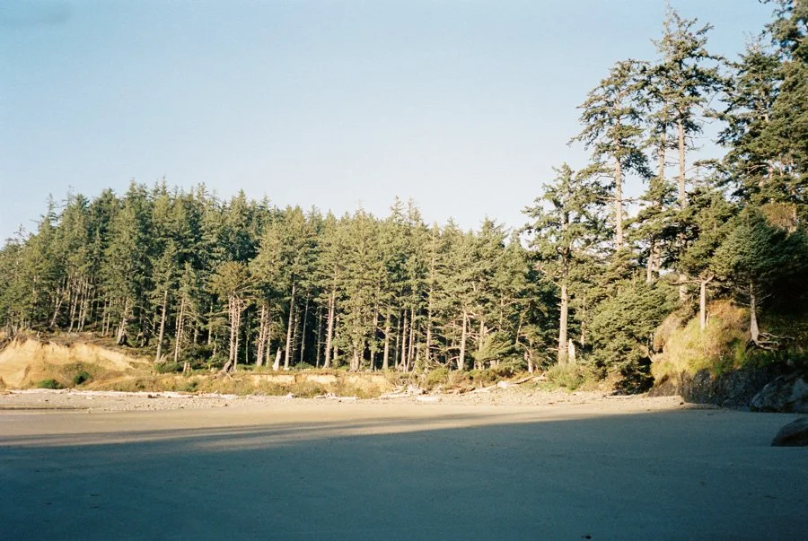 OregonCoast-15.jpg