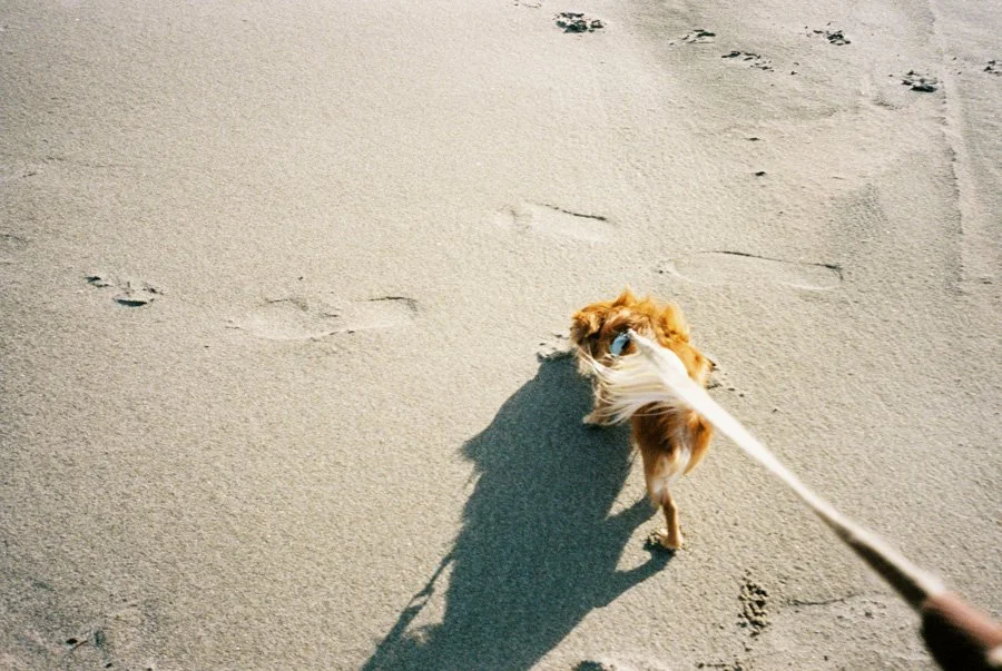 OregonCoast-22.jpg
