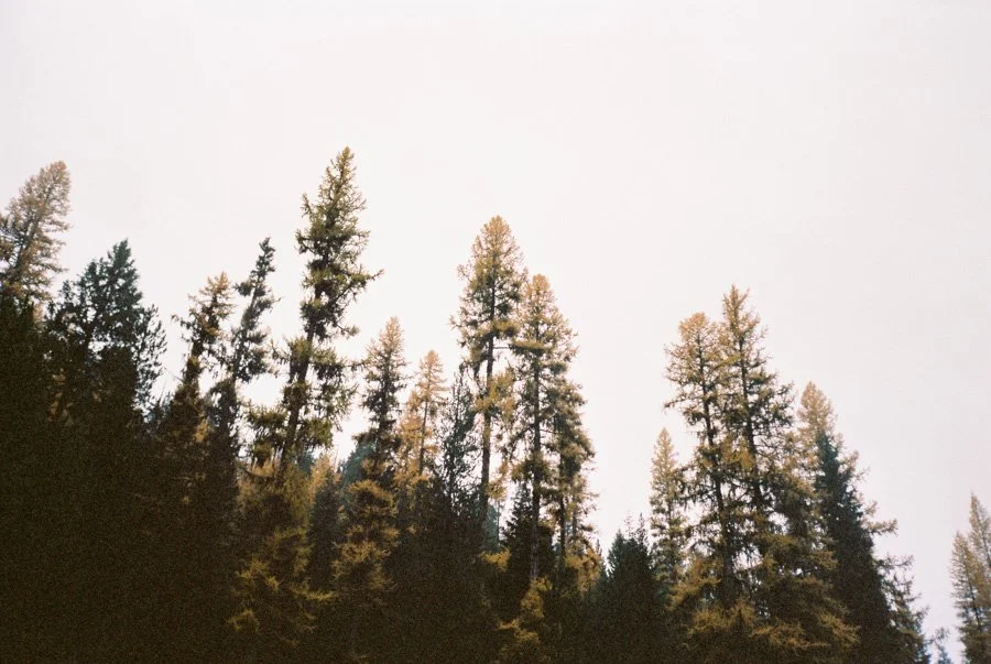 Oregon-3.jpg