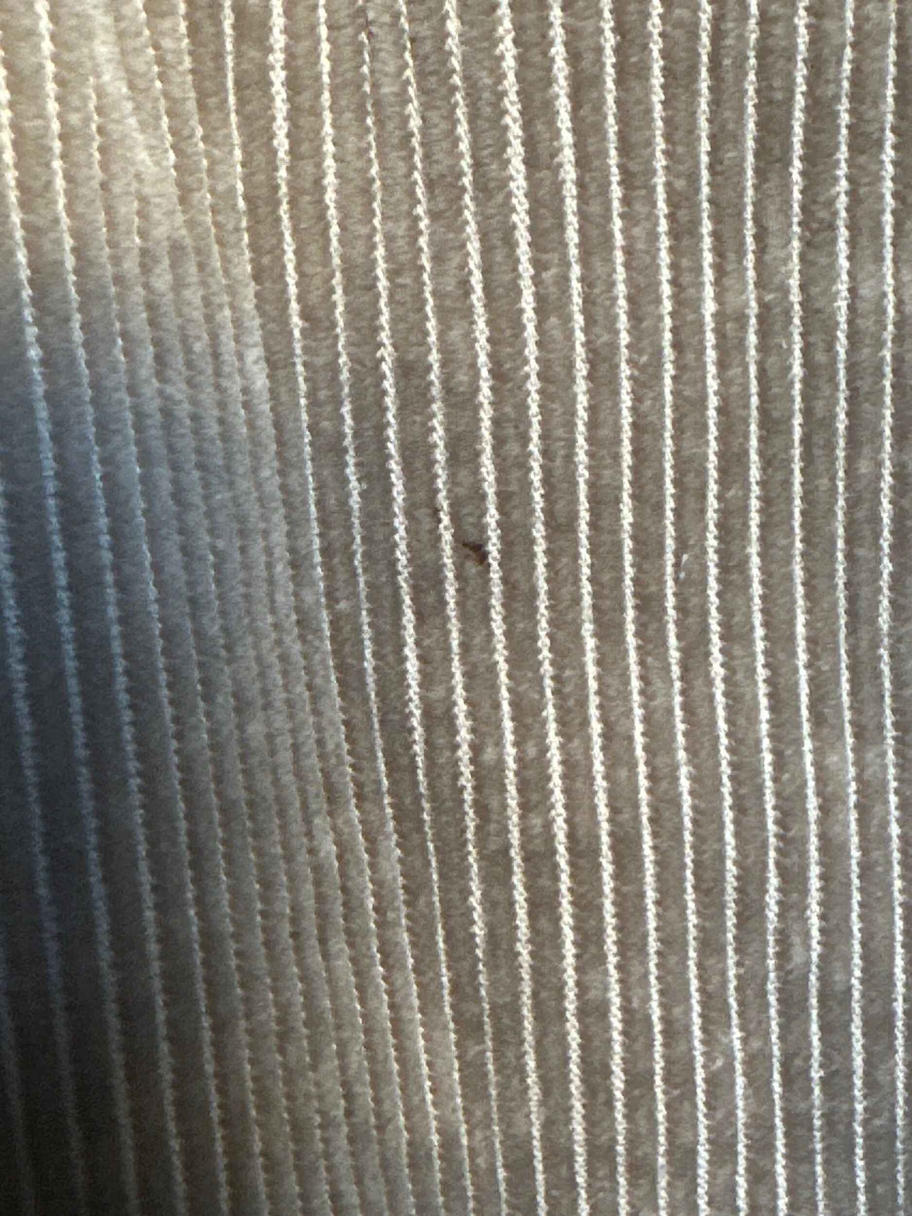 8BE3F685-7F11-4D2F-AF62-793668BABFBF