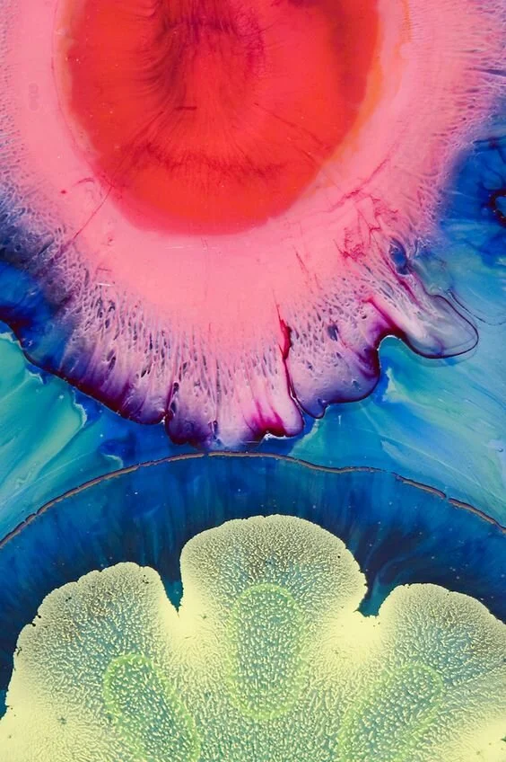 4273d168cc93229c54883e93e6b9224f.jpg