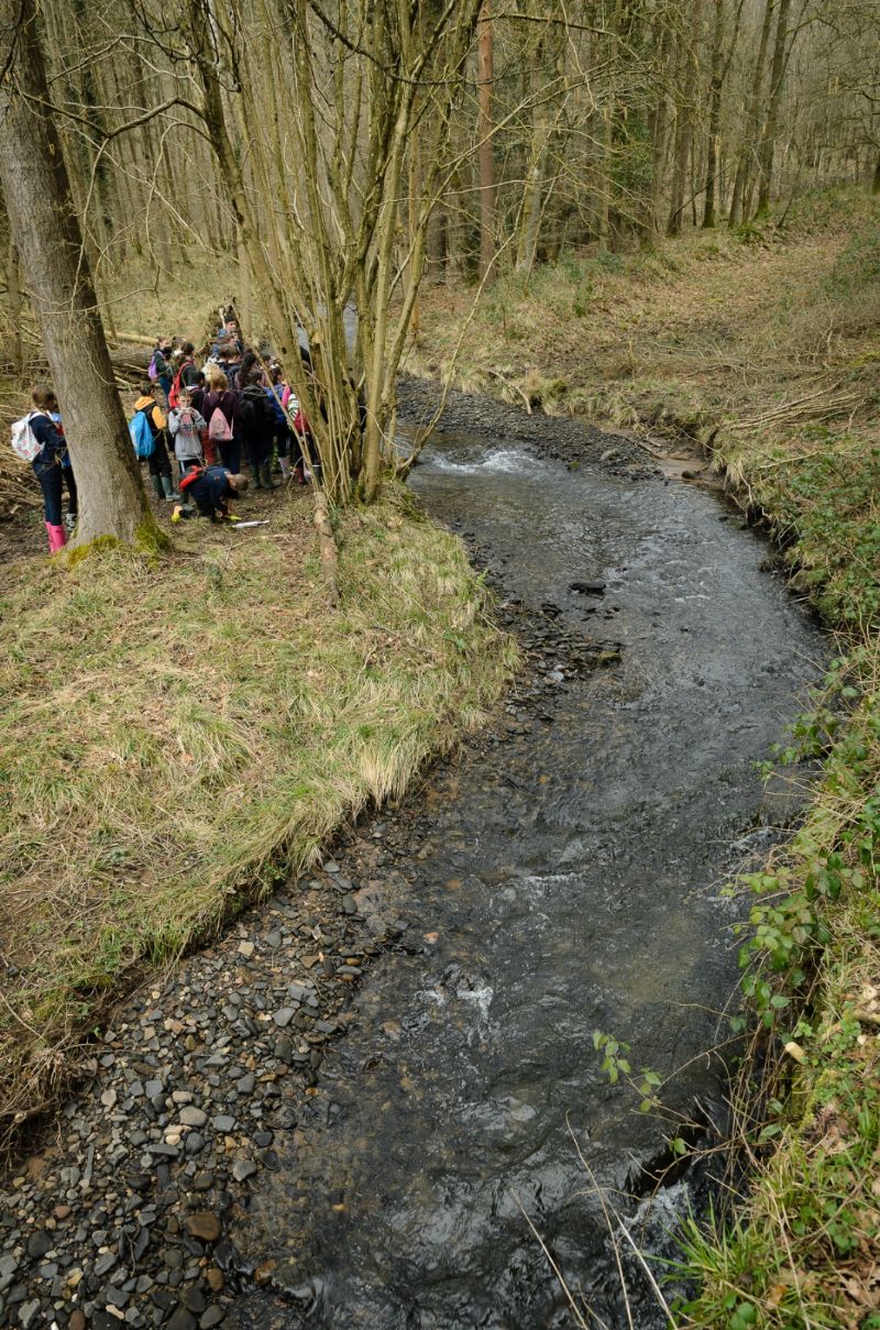 main-Geography Rivers Trip 2014-1216.jpg