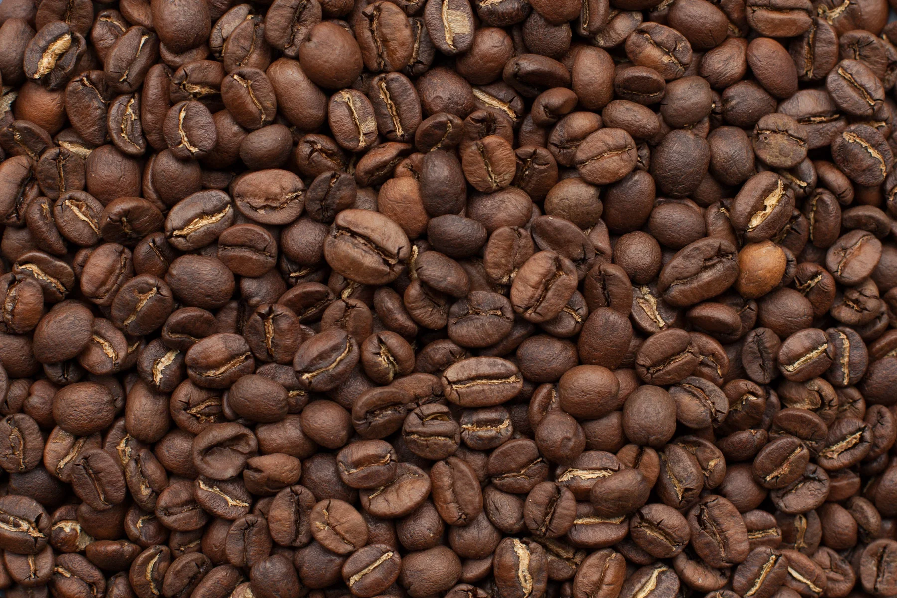 Backyard Cafe - Back Yard Coffee - Coffee Beans.jpg