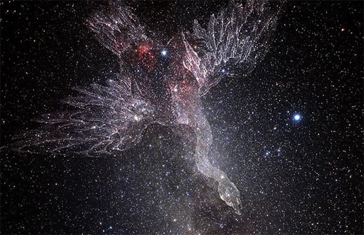 cygnus_kepler (1).jpeg
