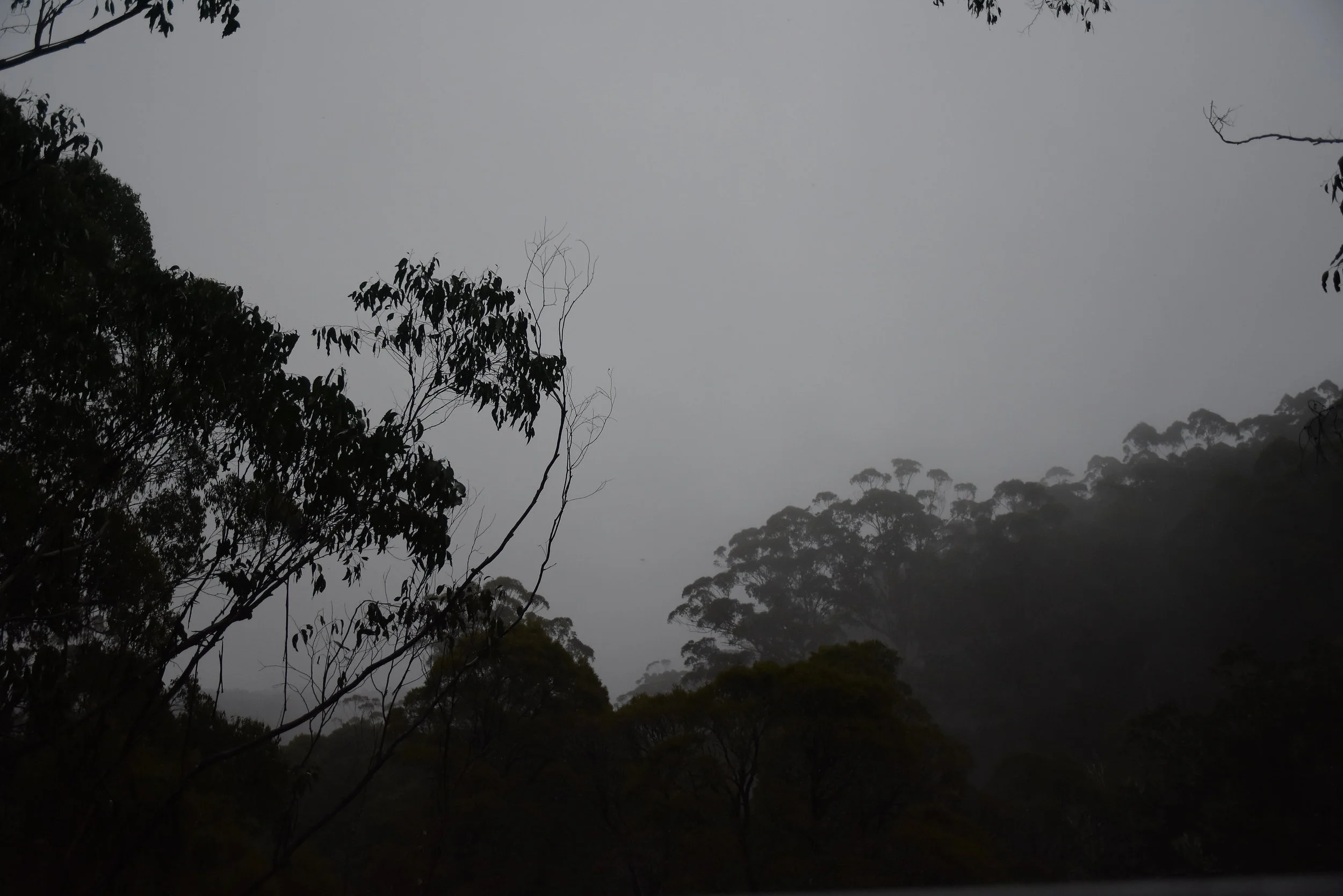 DSC_0618.JPG