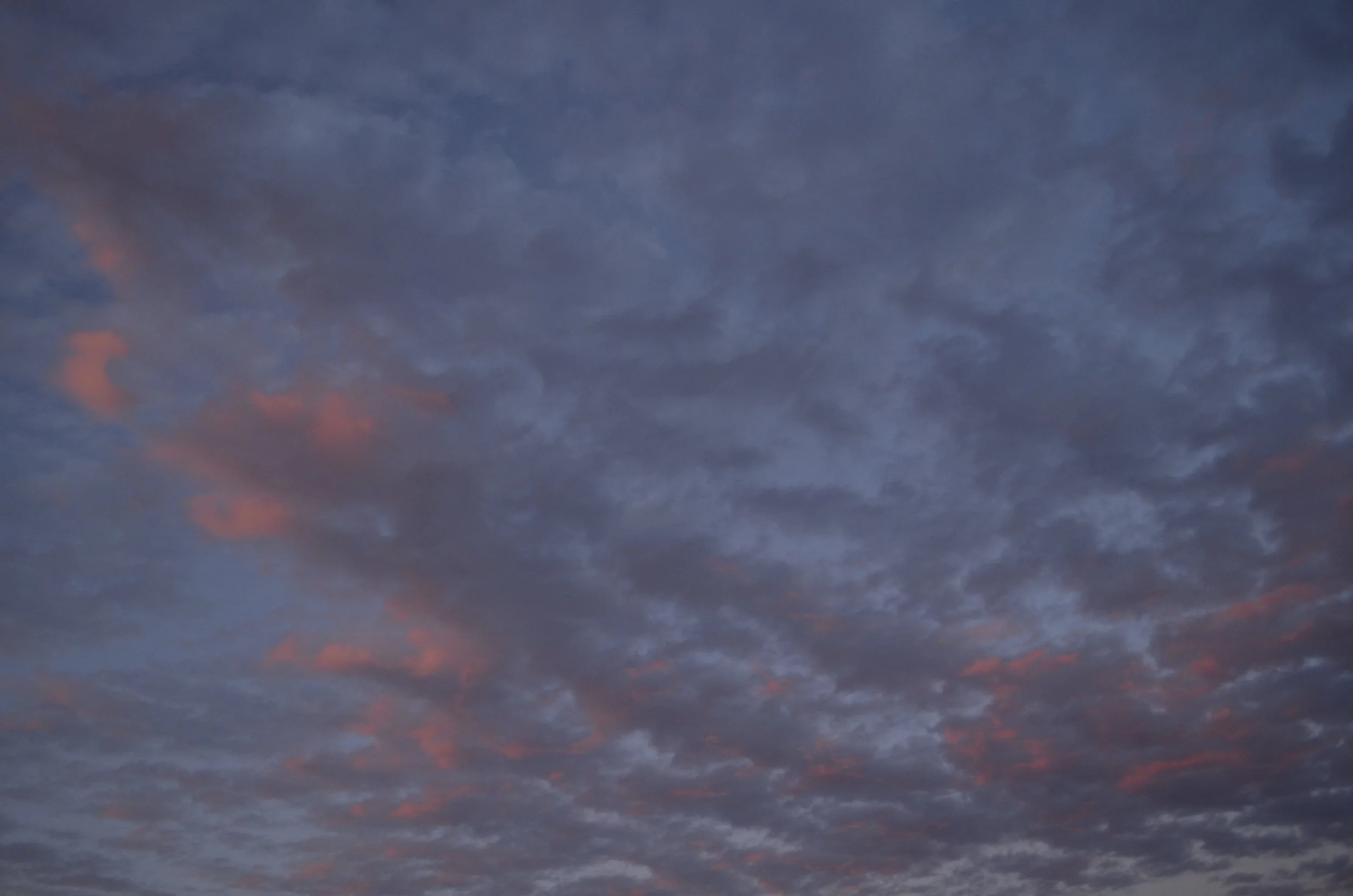 _DSC4267.JPG