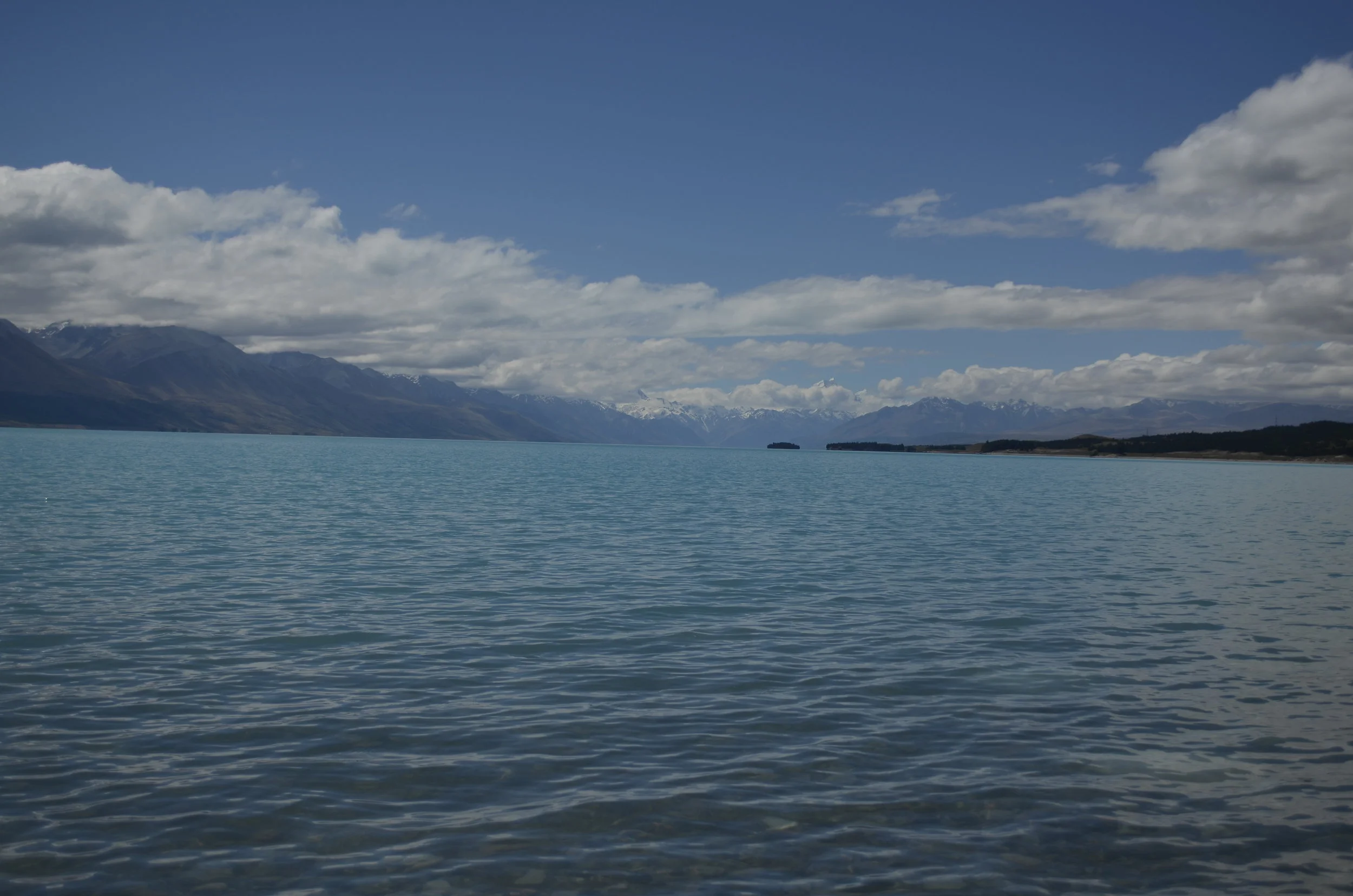 _DSC5285.JPG