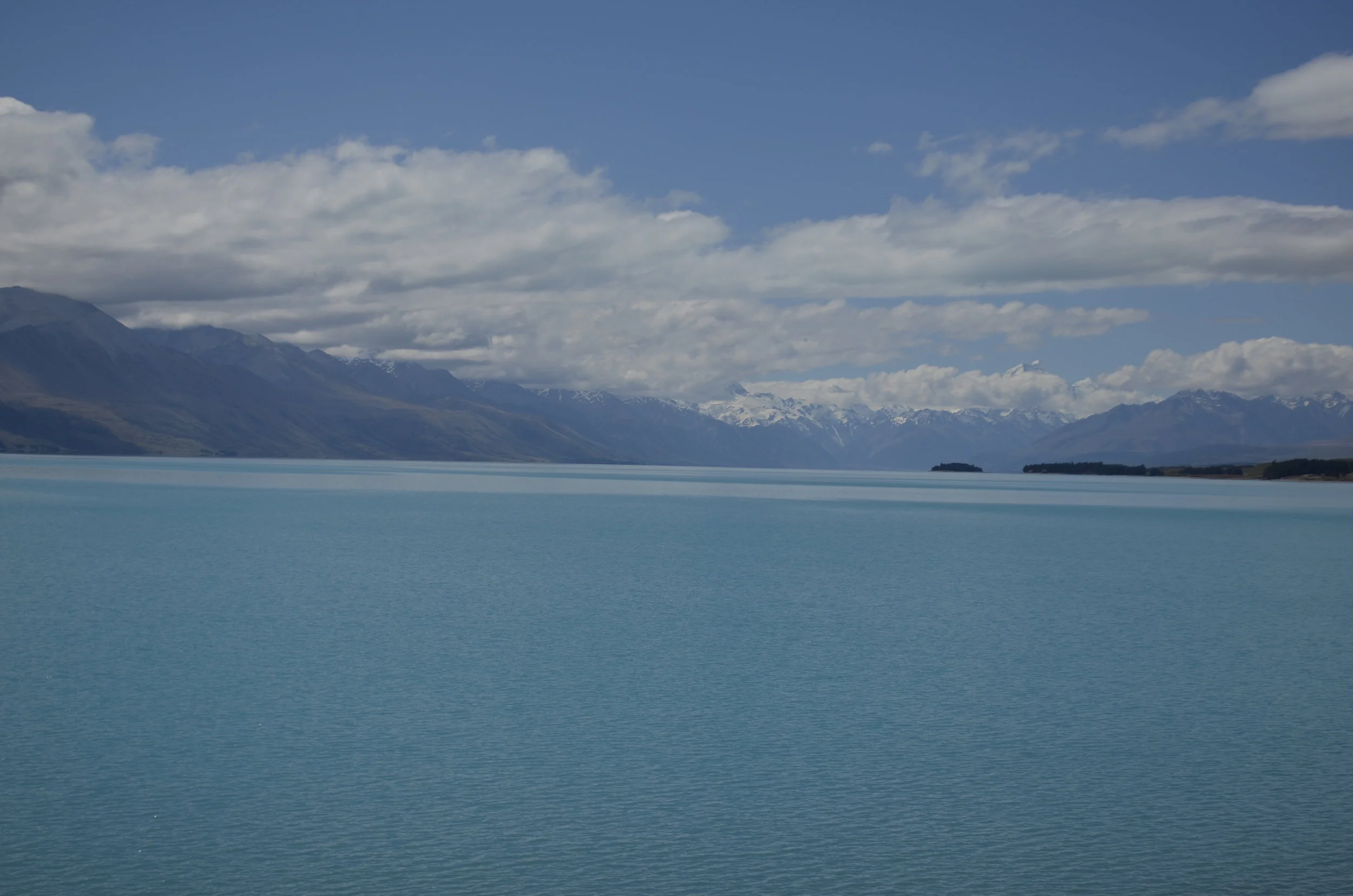 _DSC5274.JPG