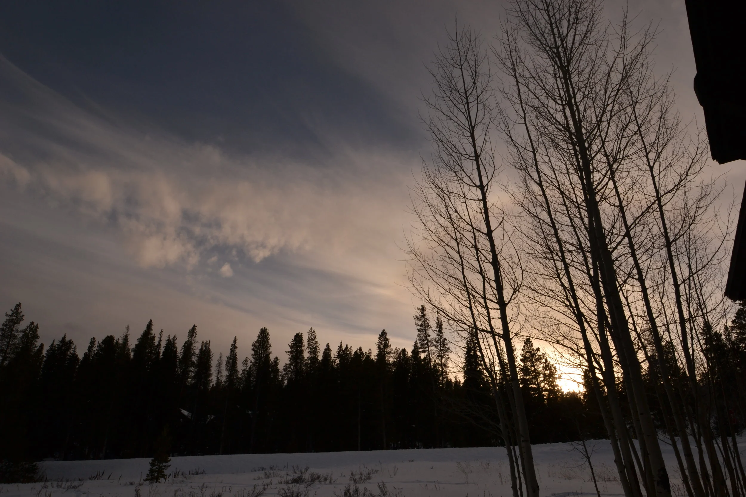 DSC_0250.JPG