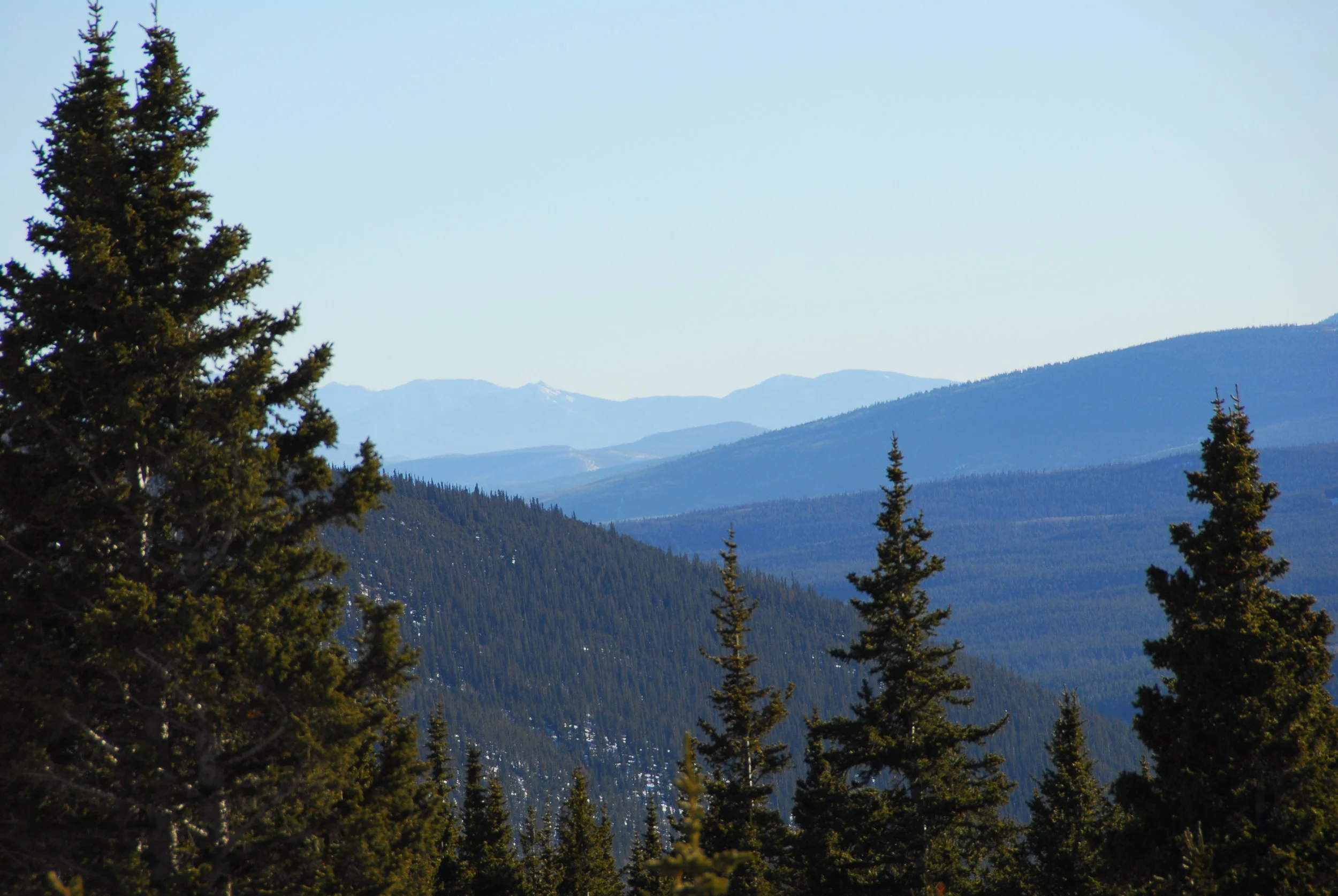 DSC_0227.JPG