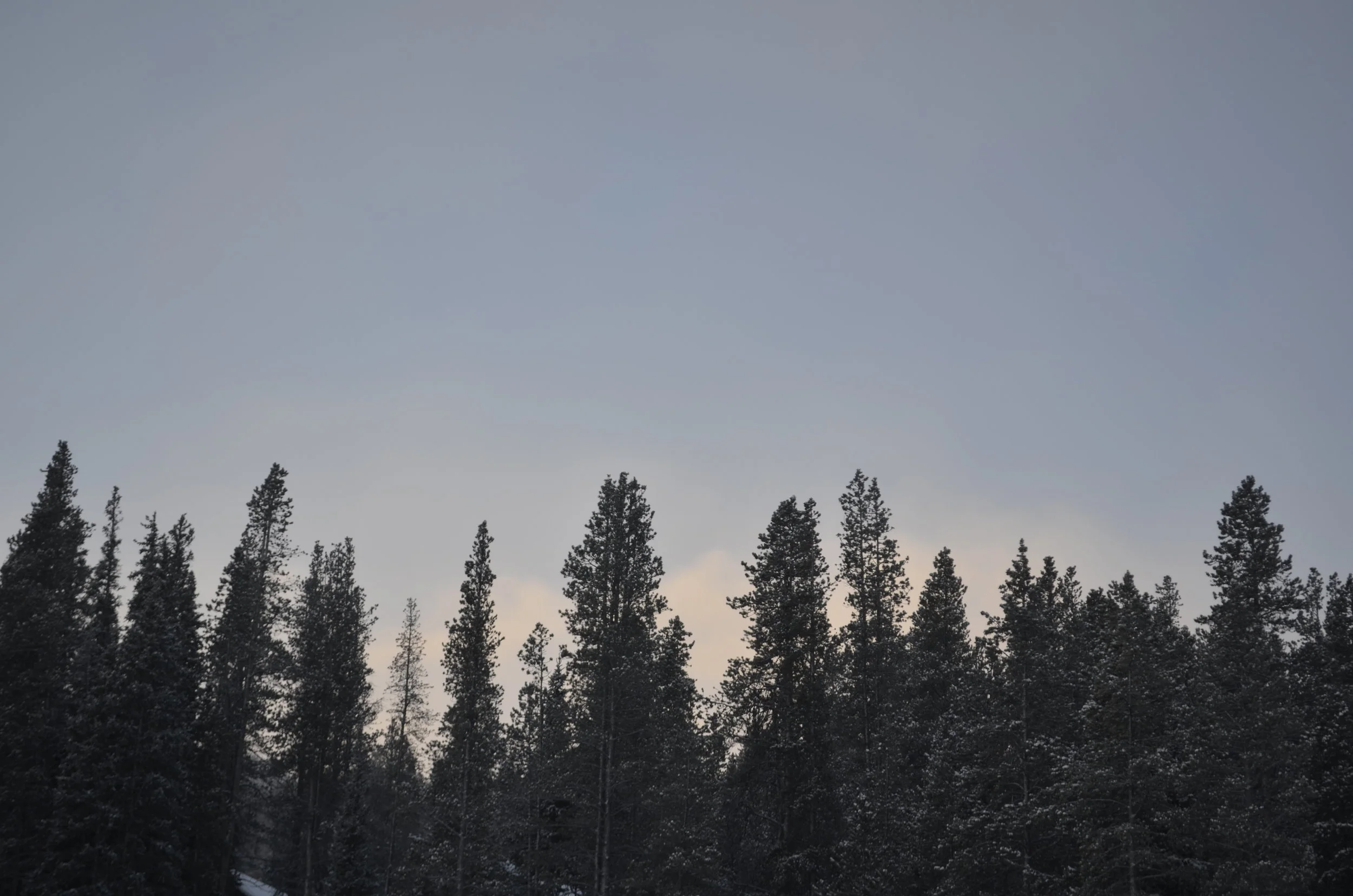 _DSC3699.JPG