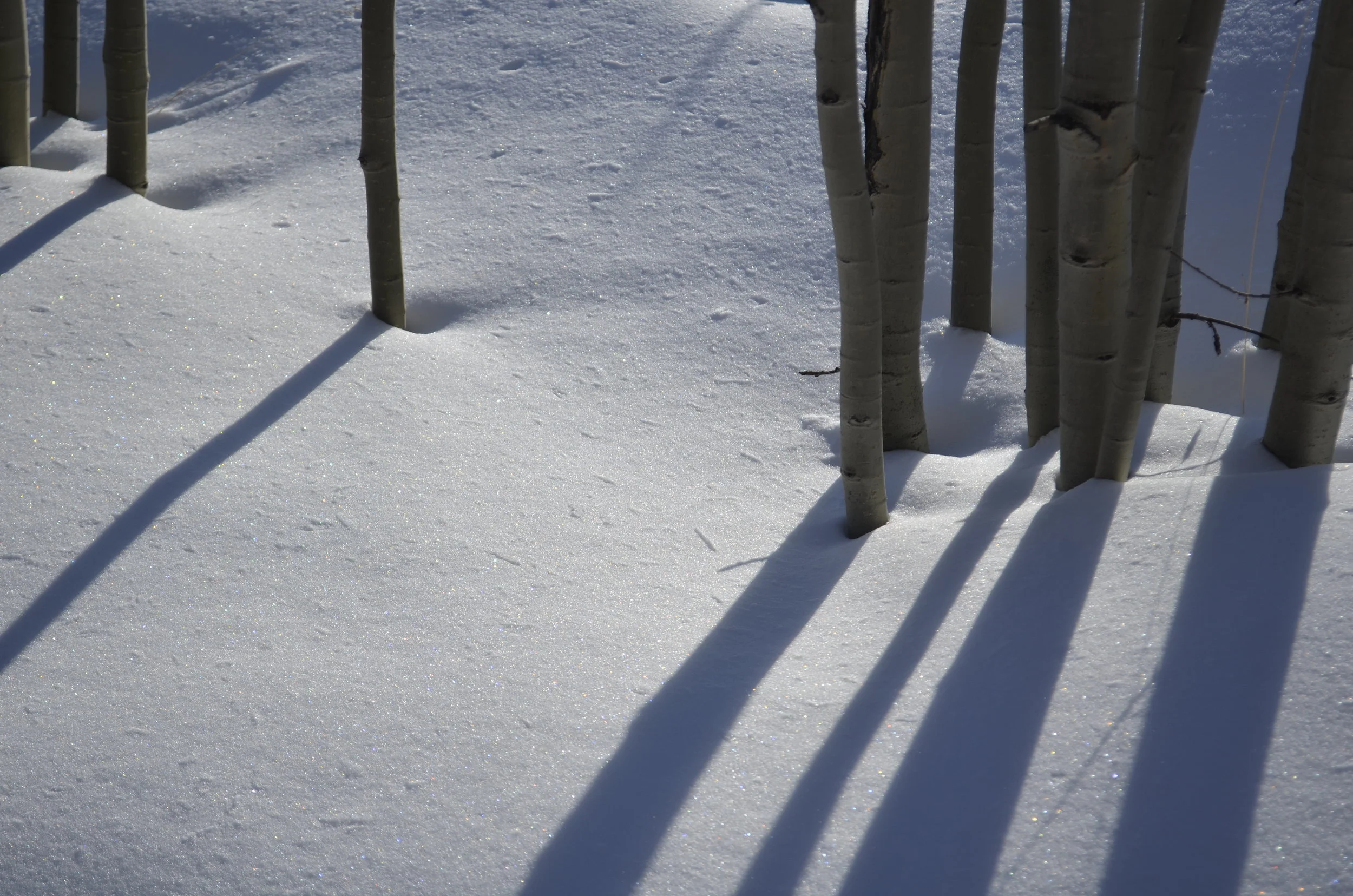 _DSC3748.JPG