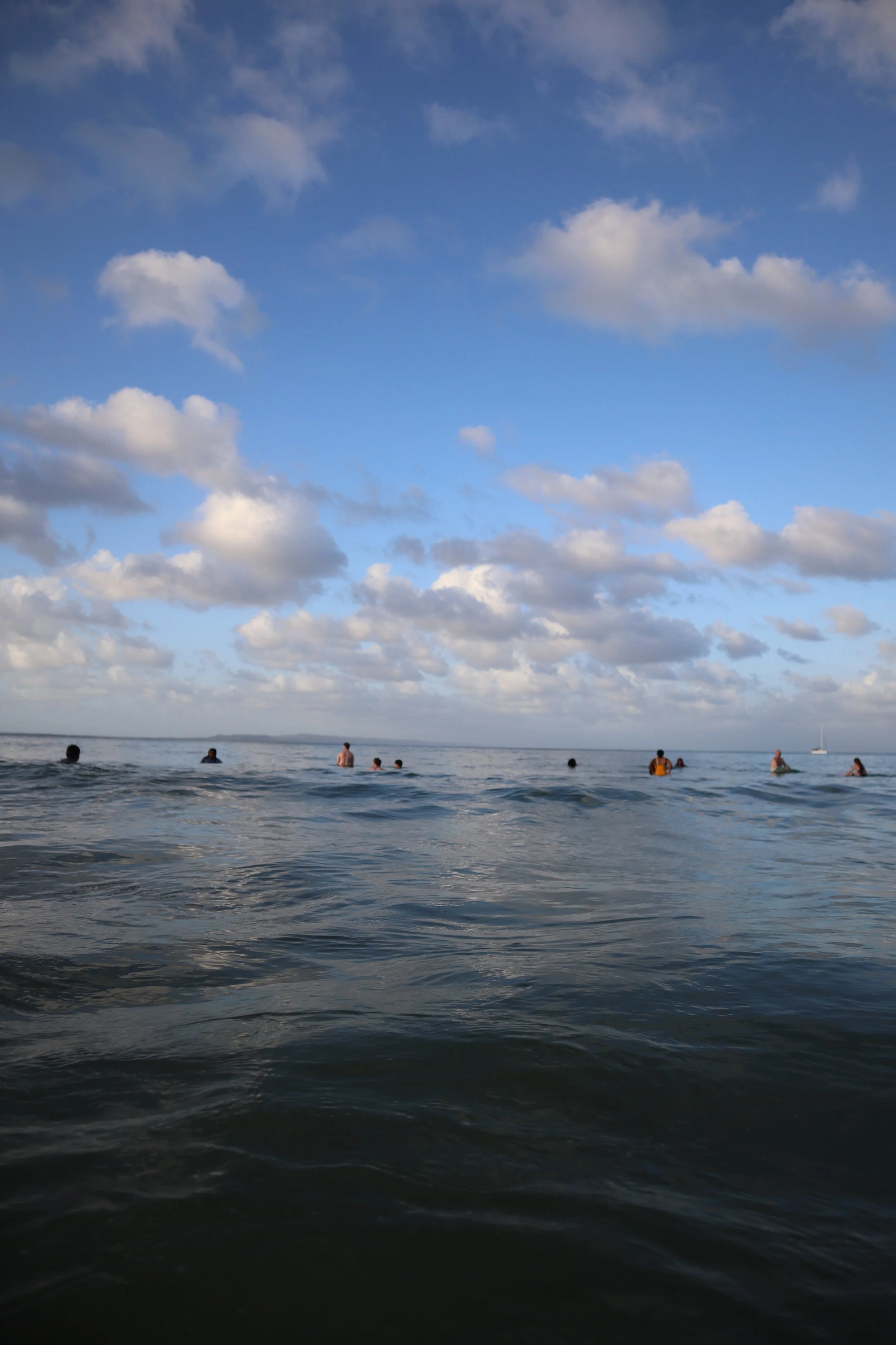 IMG_8985.JPG
