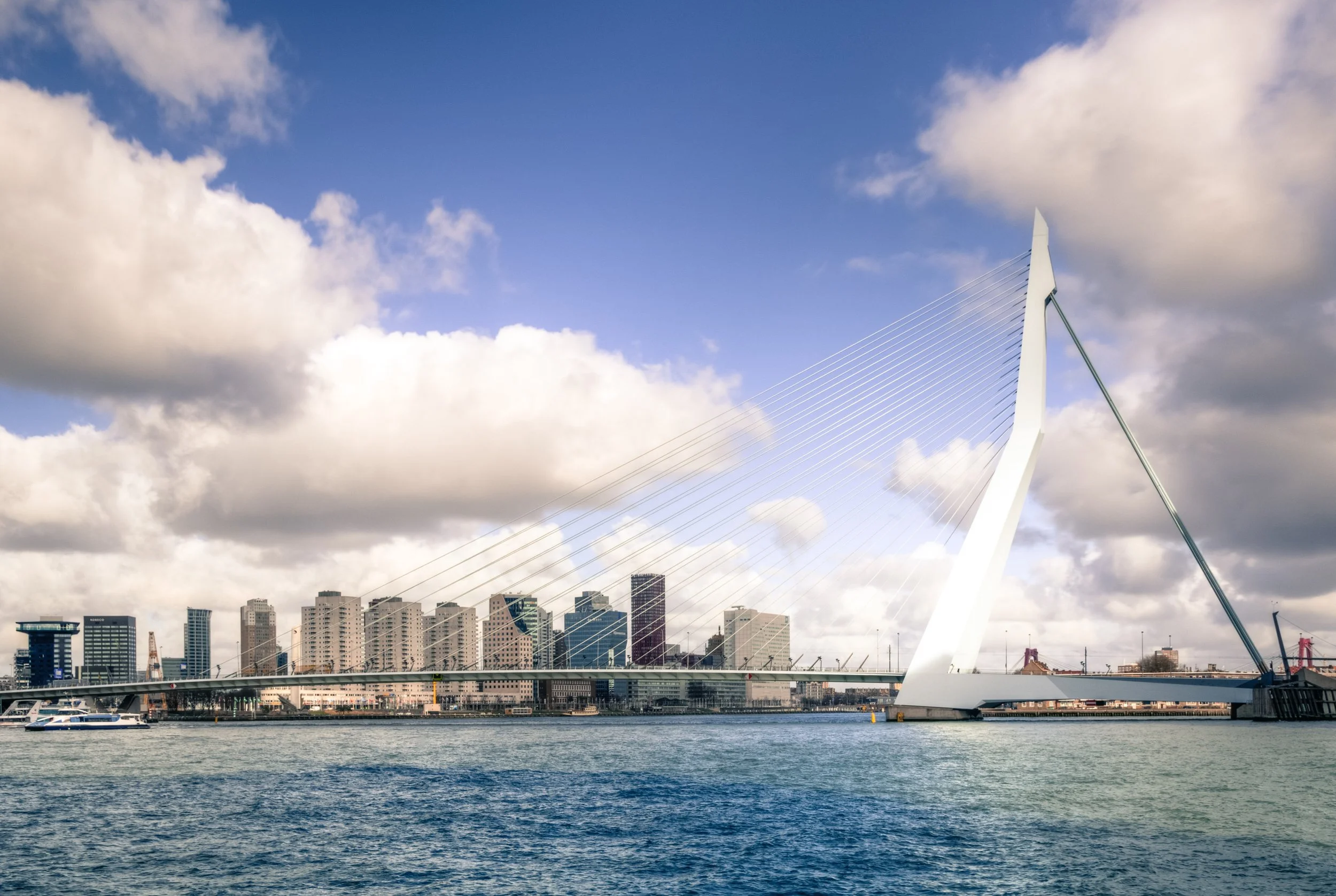 Rotterdam gooit hogere ogen als Songfestival-stad dan Maastricht