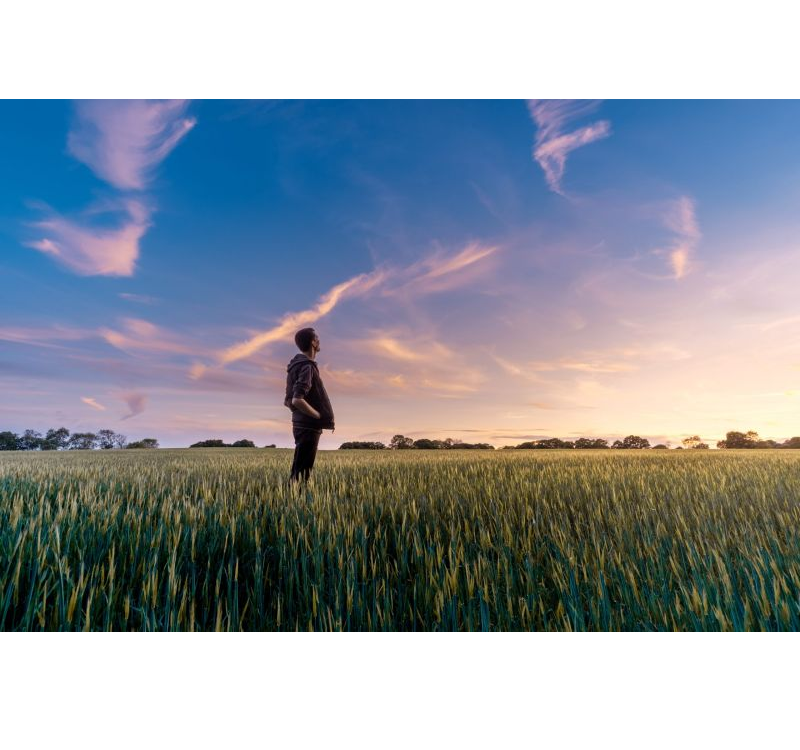 Overheden missen vaak early warning-signalen