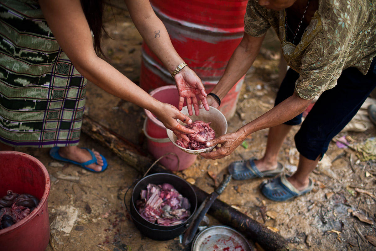 Penan-plight-5.jpg