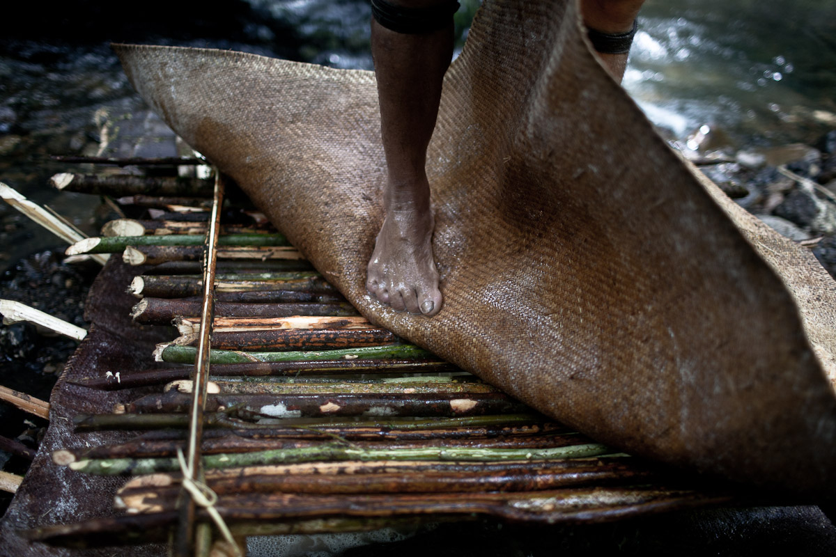 Penan-plight-12.jpg