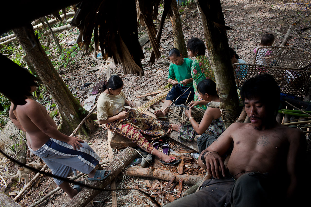 Penan-plight-19.jpg