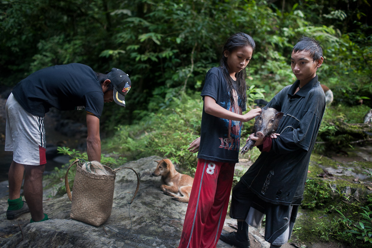 Penan-plight-28.jpg