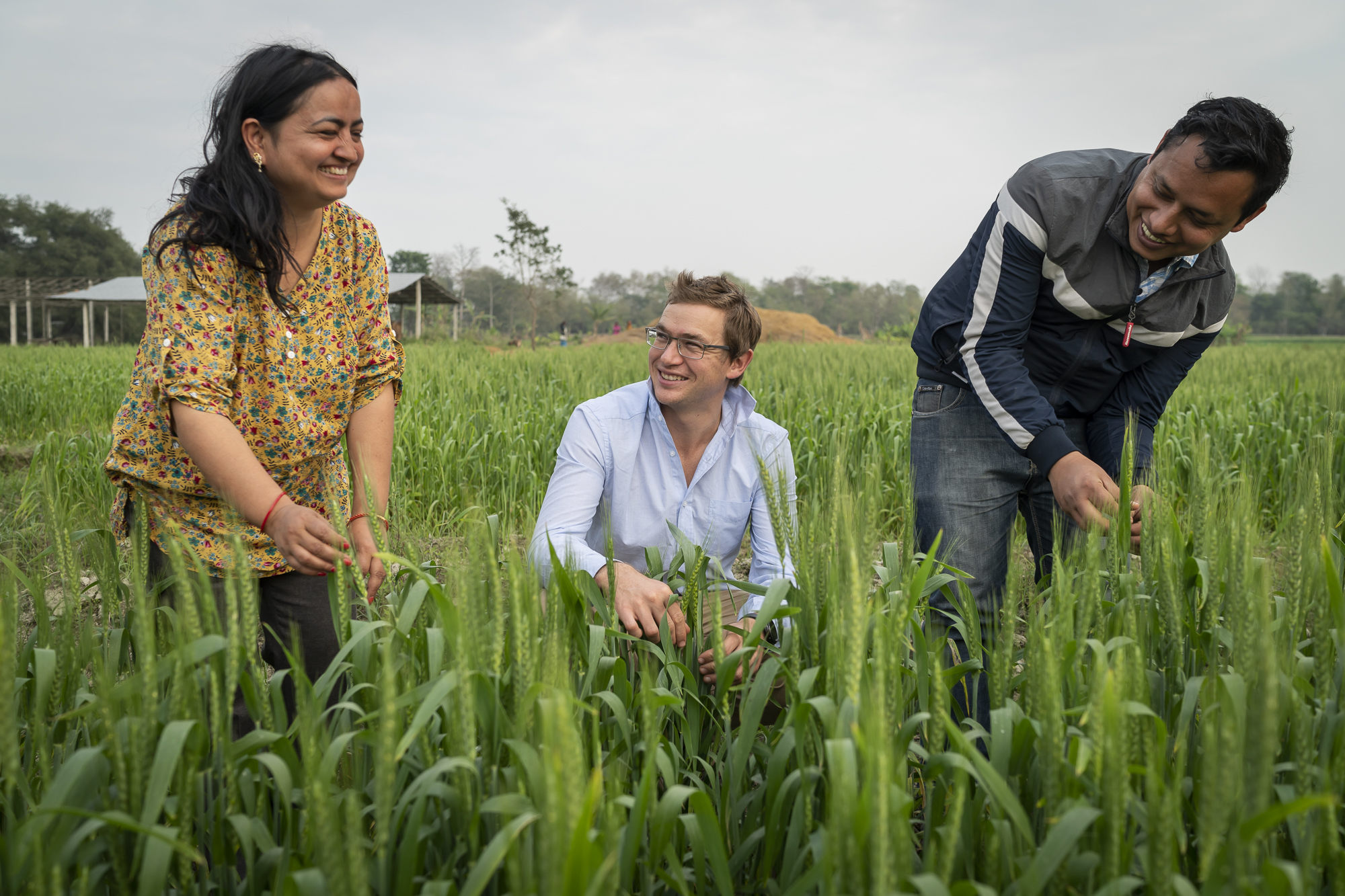 Conor-Ashleigh©2019-ACIAR-SDIP-Terai-51.jpg