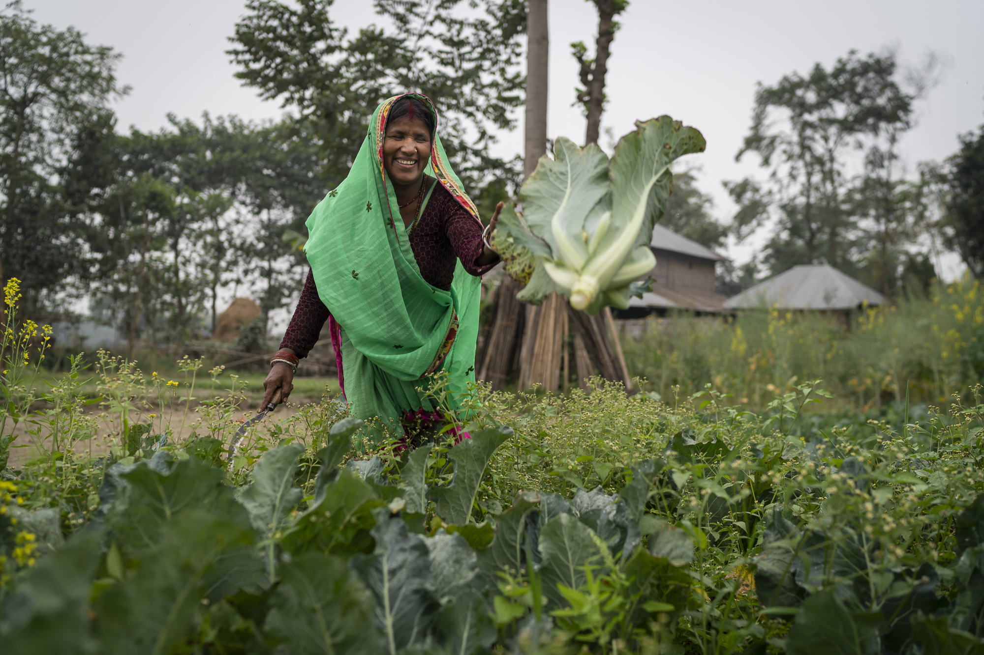 Conor-Ashleigh©2019-ACIAR-SDIP-Terai-28.jpg