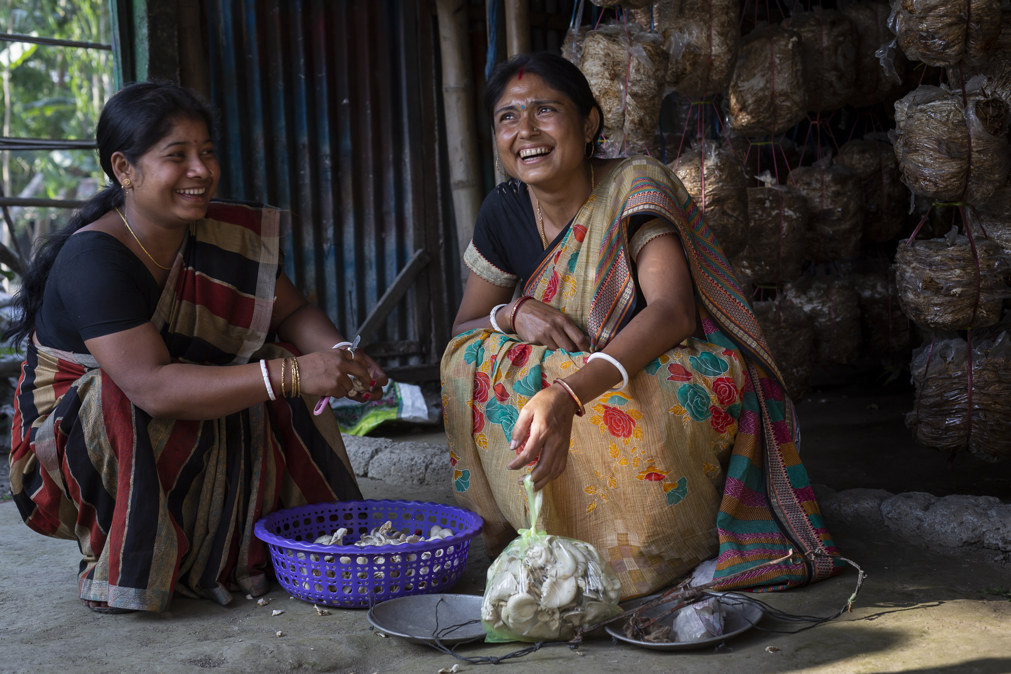 ConorAshleigh-2019-ACIAR-SDIP-WestBengal-webres-654.jpg
