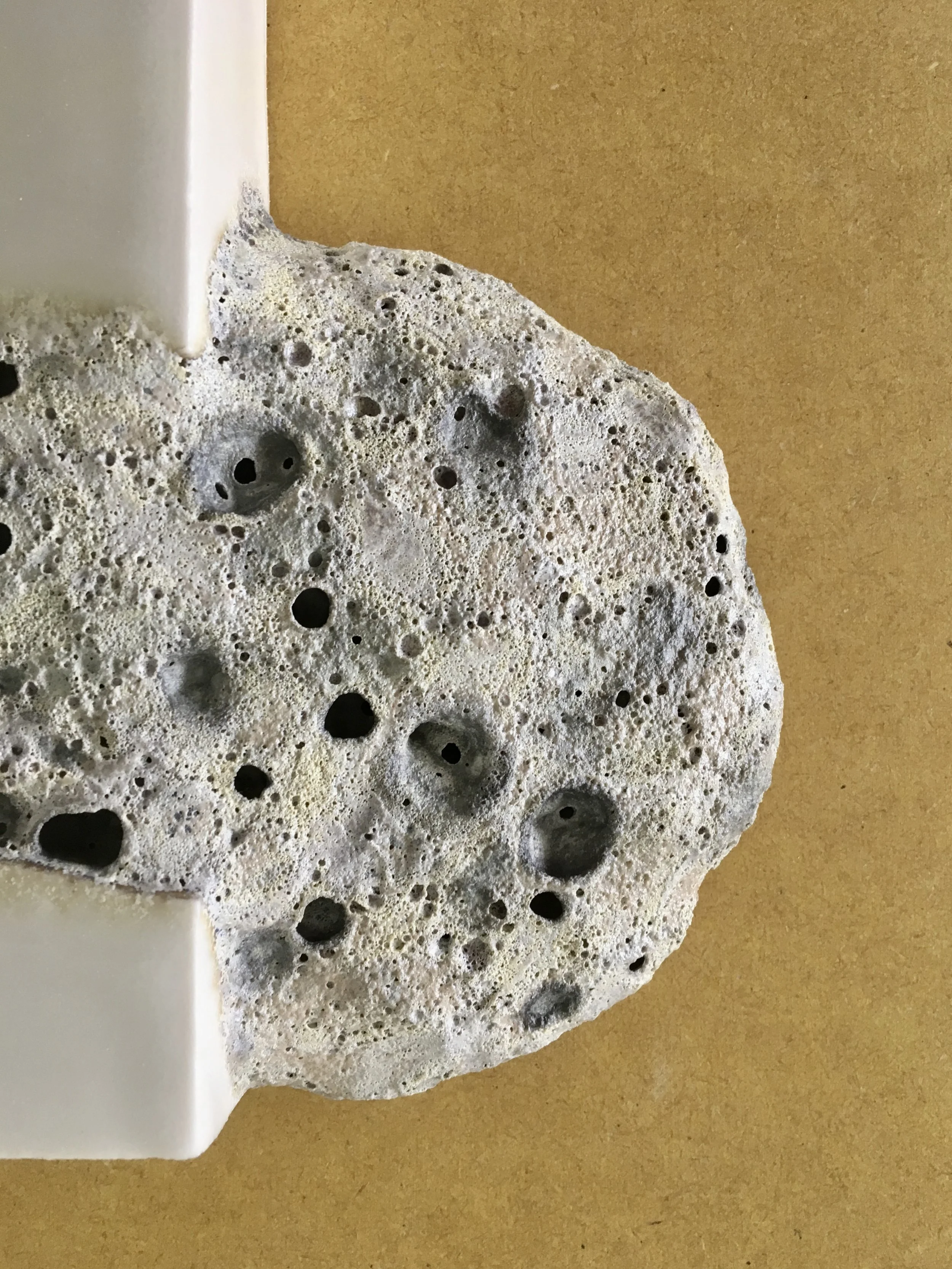  Photo: Signe Fensholt 