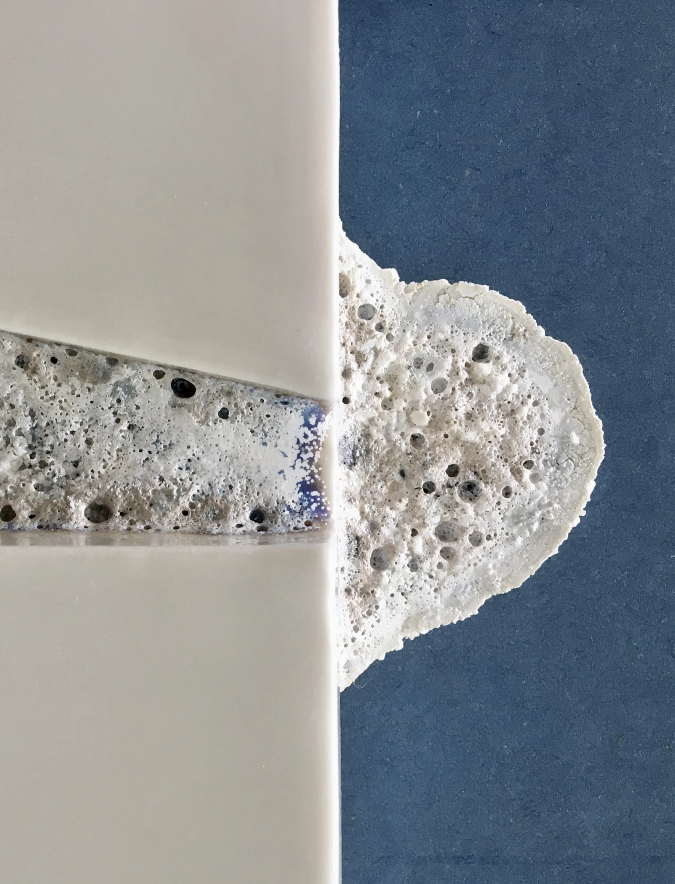  Photo: Signe Fensholt 