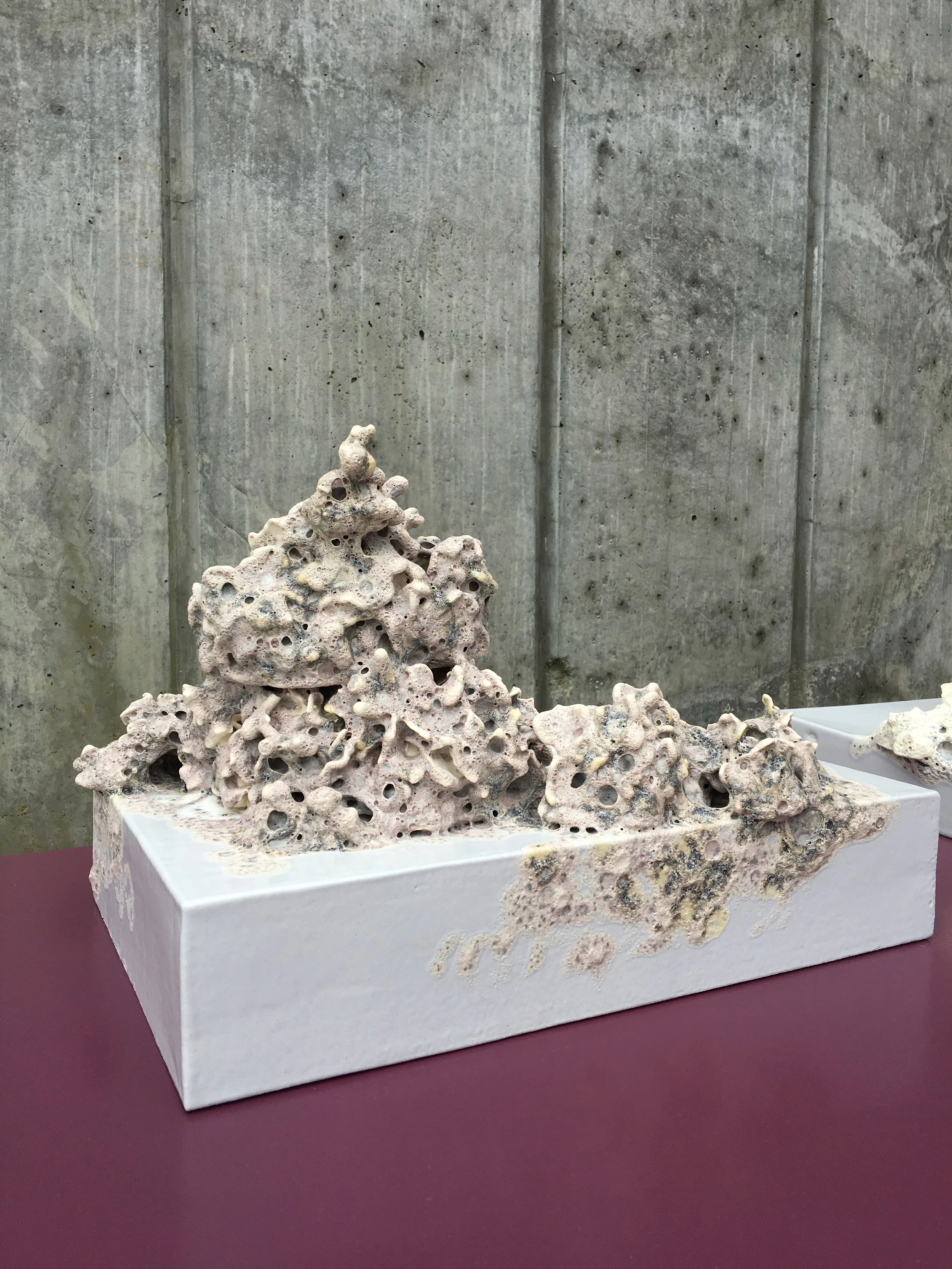  Photo: Signe Fensholt 