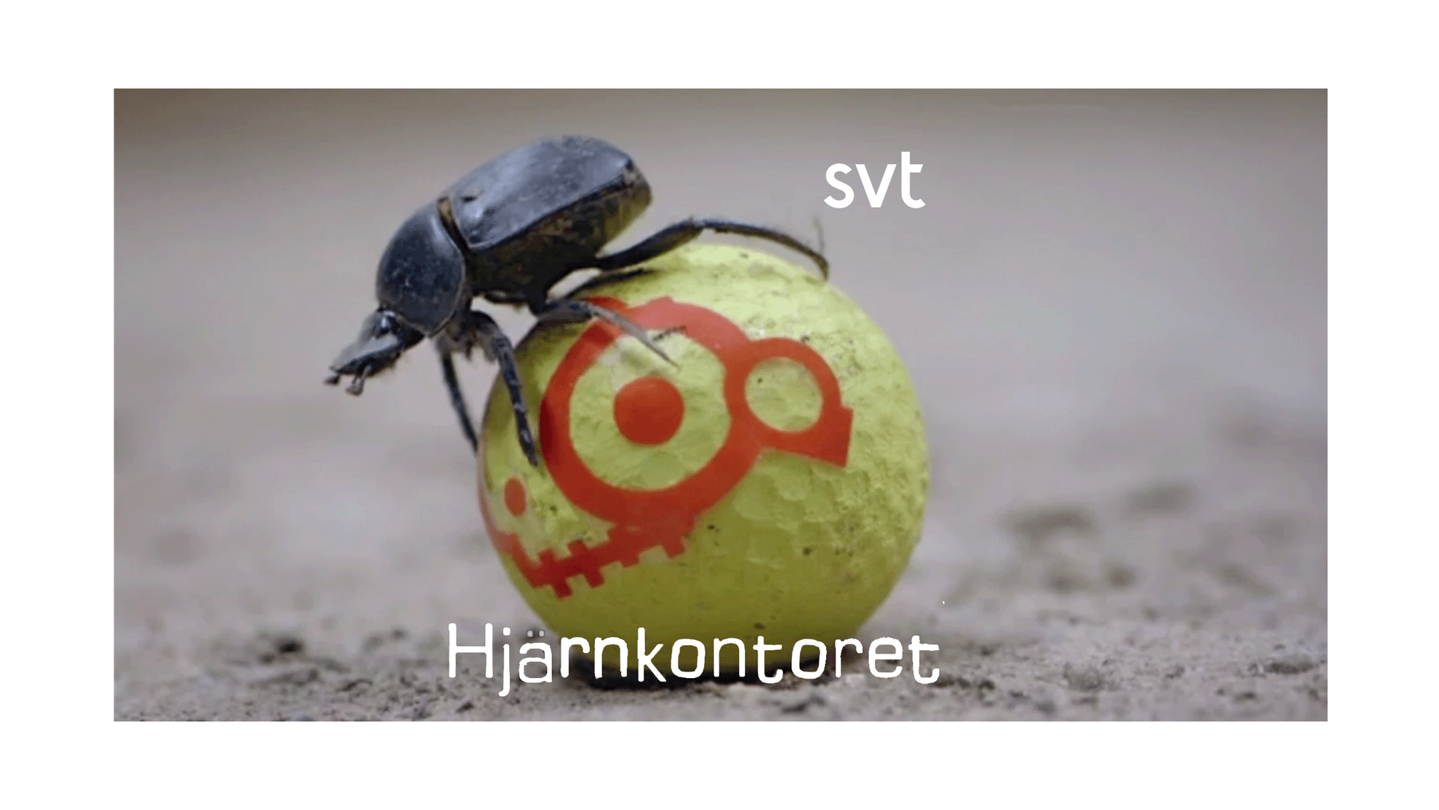 omslag_hjarnkontoret_svt.png