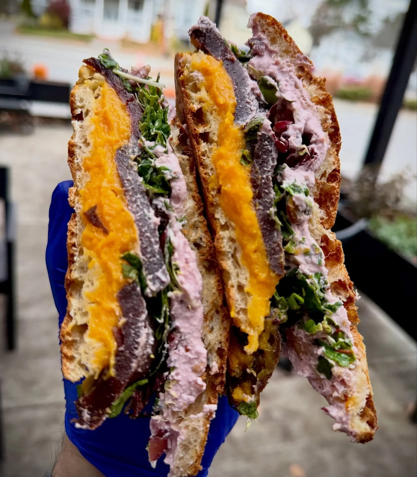 AUTUMN VEGGIE SANDWICH
Our fall menu standout is bursting with delicious, earthy flavor!  Orange squash, grilled beets, dark greens, and house-made vegan &lsquo;goat&rsquo; cheese with fresh cranberry on our bakery&rsquo;s cracklin toasted pizza bian
