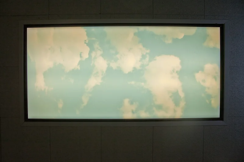 ceiling.jpg